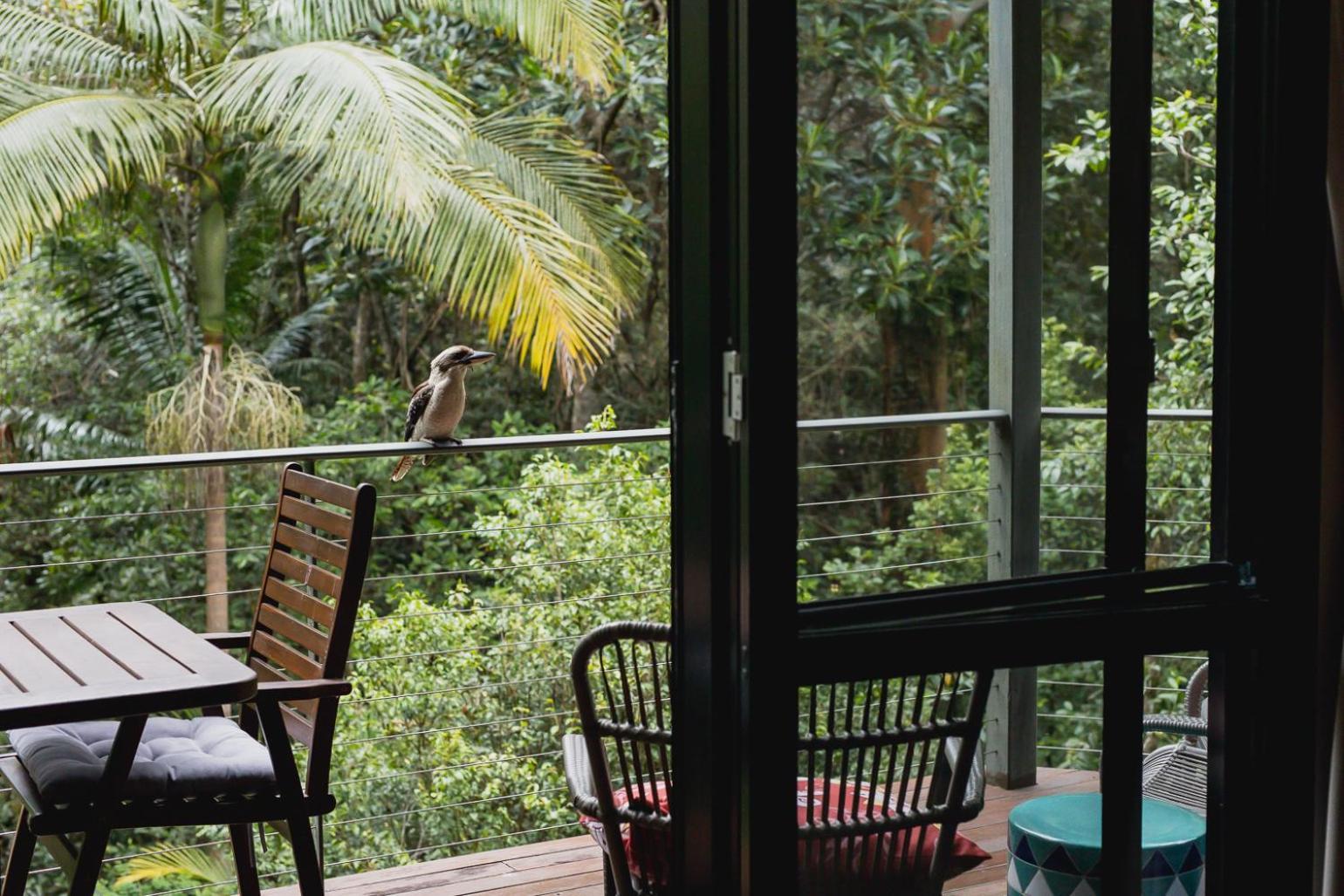 Kondalilla Eco Resort Montville Εξωτερικό φωτογραφία
