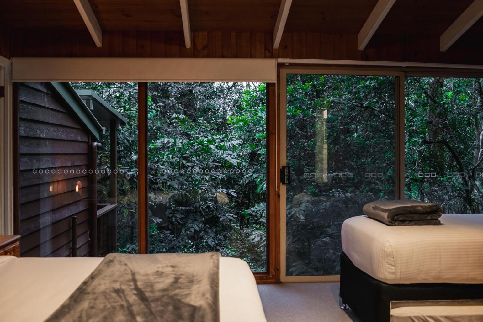 Kondalilla Eco Resort Montville Εξωτερικό φωτογραφία