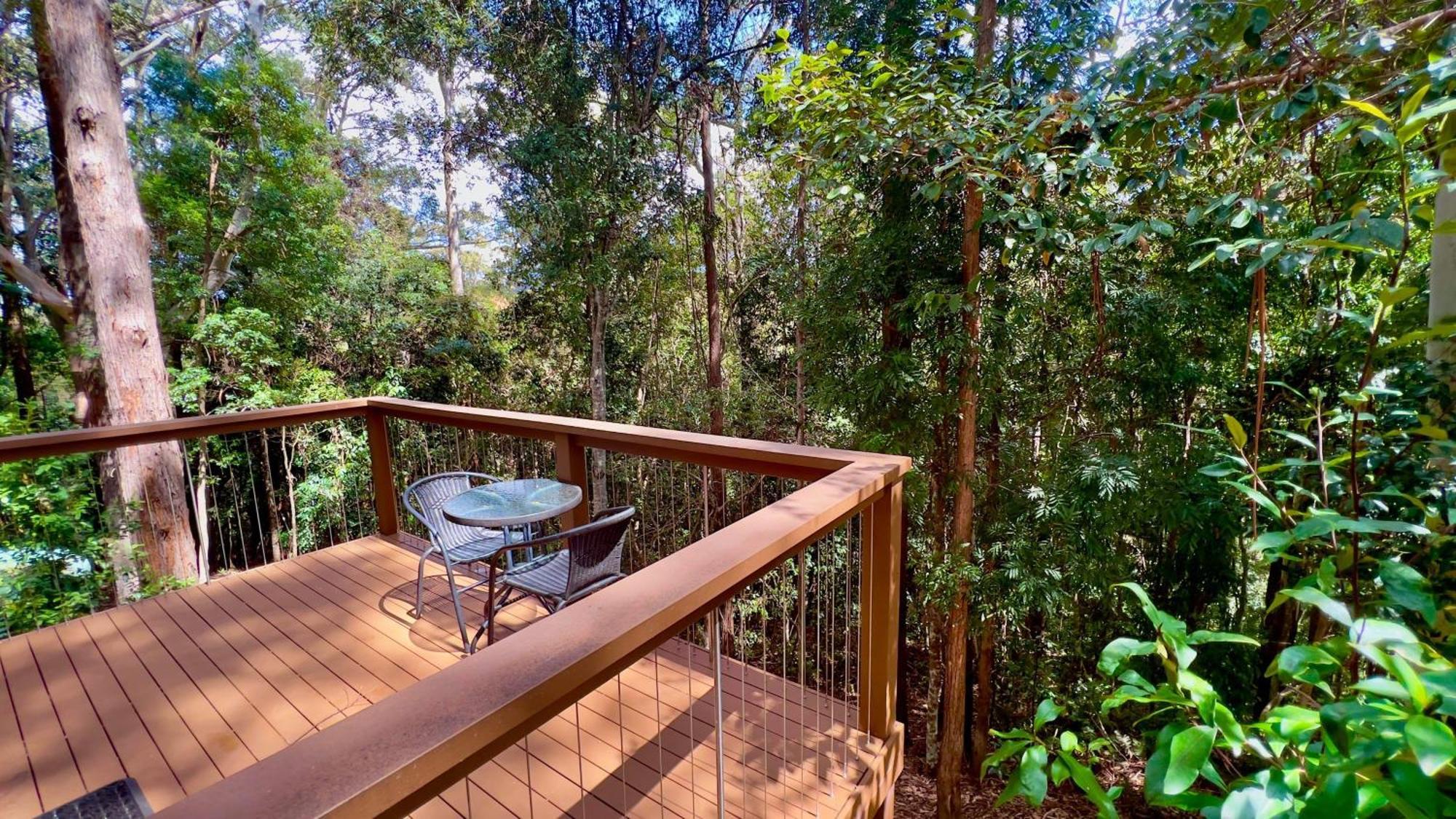 Kondalilla Eco Resort Montville Εξωτερικό φωτογραφία