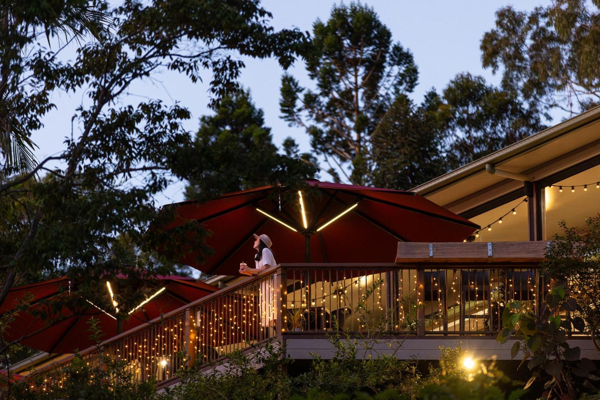 Kondalilla Eco Resort Montville Εξωτερικό φωτογραφία