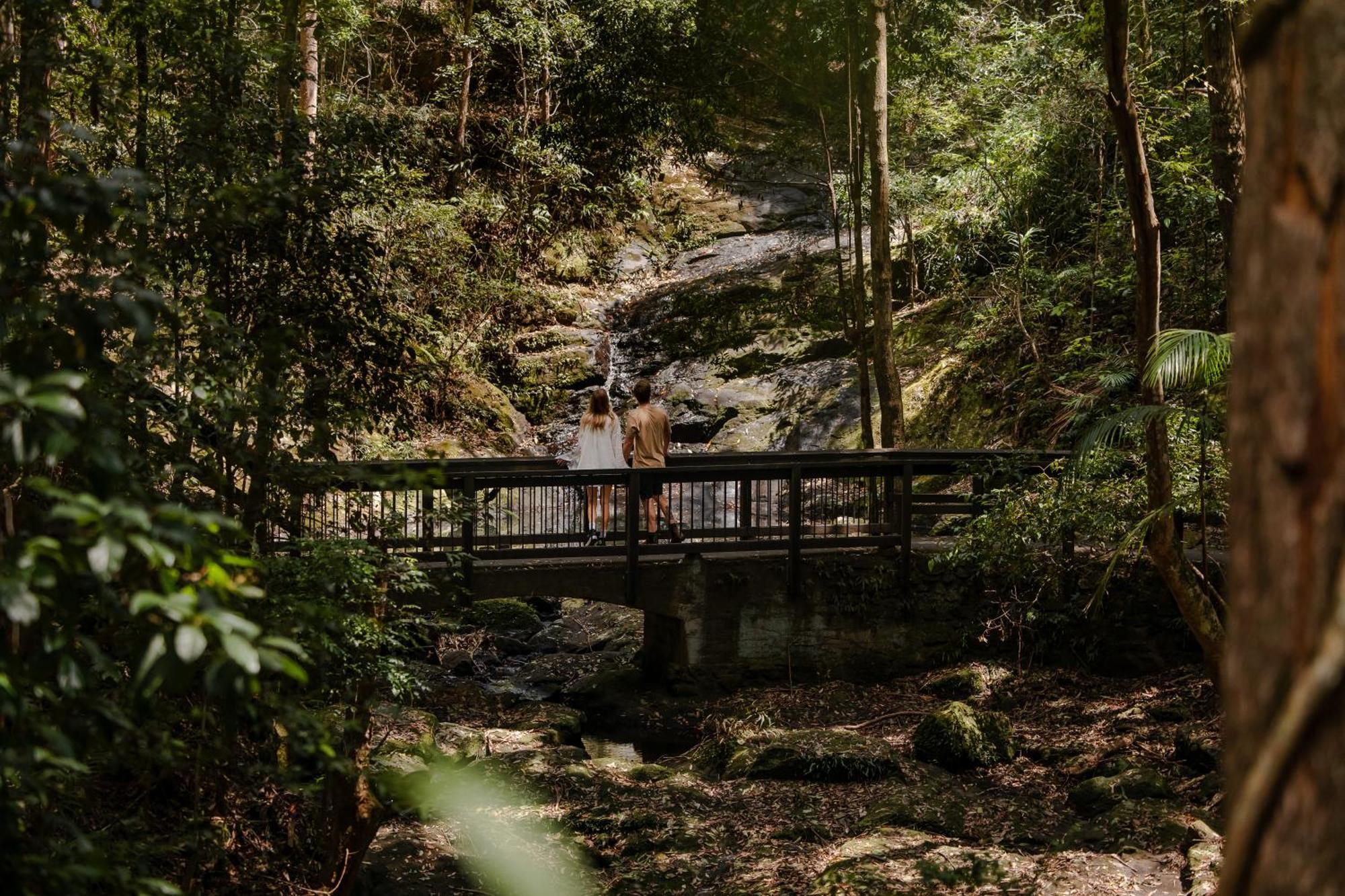 Kondalilla Eco Resort Montville Εξωτερικό φωτογραφία